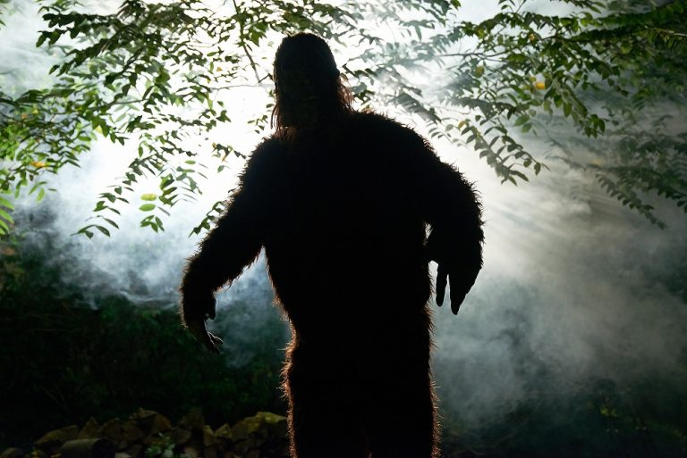 Washington Laws Make It Illegal to Kill Bigfoot