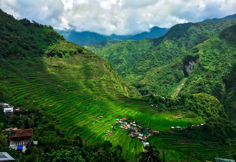 rice terraces in the Philippines