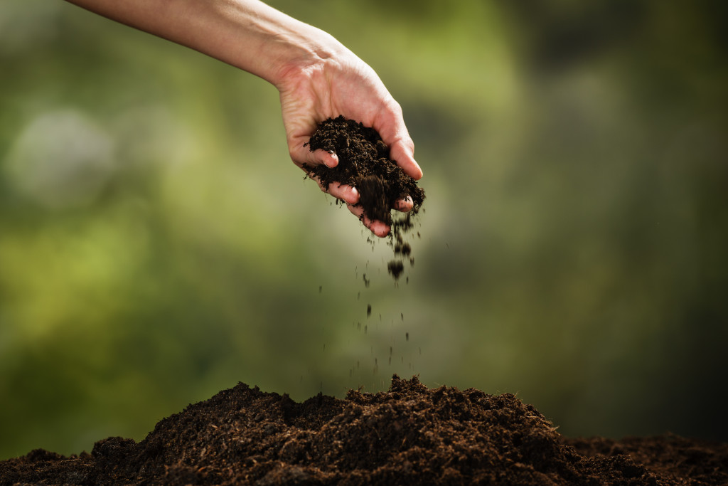 hand holding soil from a patch 