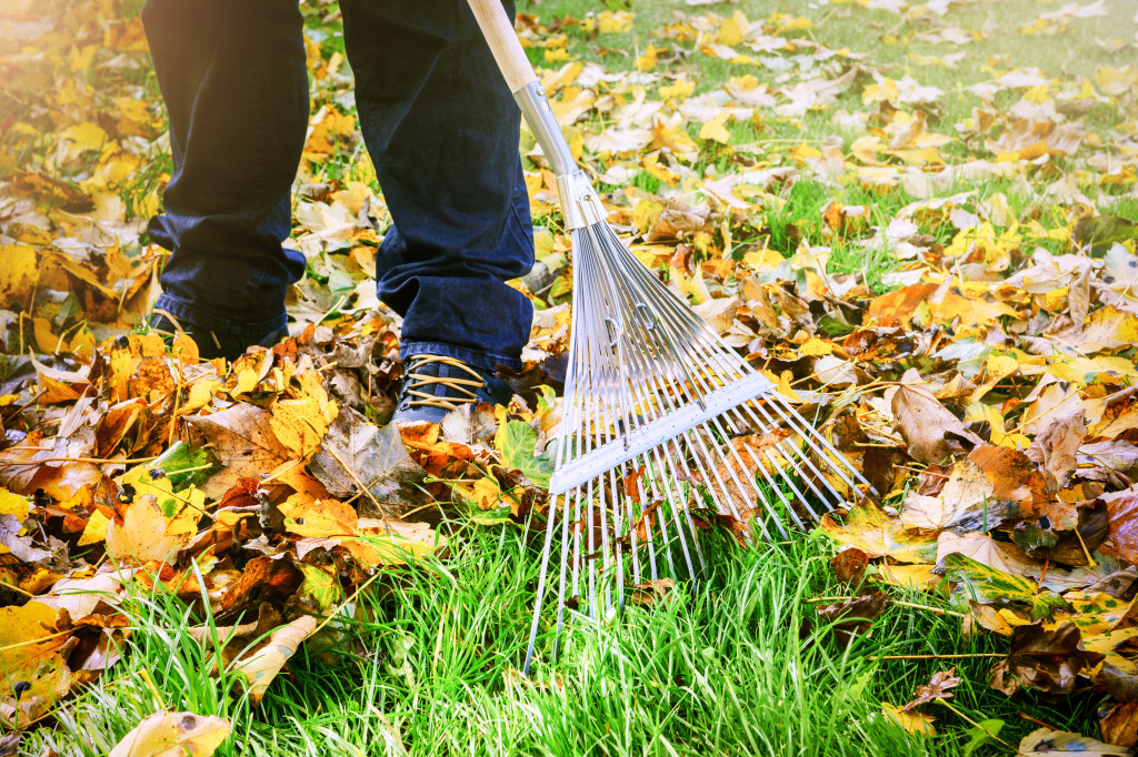 person raking dead leaves that had fallen to the ground of their backyard