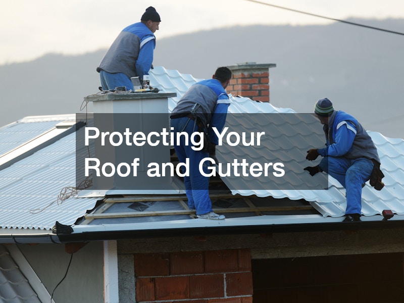 Protecting Your Roof and Gutters